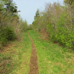 White Head Trail - The west end of the trail