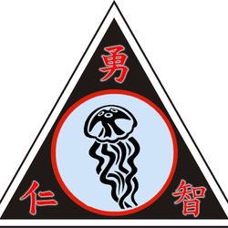 Hyland Fighting System / Dux FASST