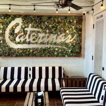 Caterina’s - Gelato Near Me - San Clemente, California Caterina’s - Gelato Near Me - San Clemente, California