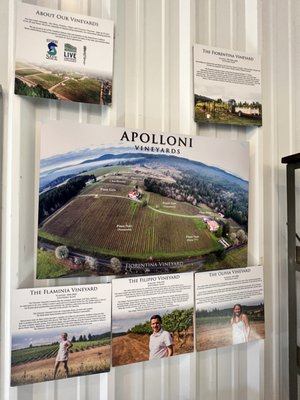 Apolloni Vineyards by null