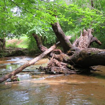 Rotary Park - Hiking Near Me - Clarksville, Tennessee
