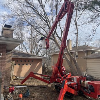 Jose's Trees Inc. - Well done! Got the job done safely - Tree Services Near Me