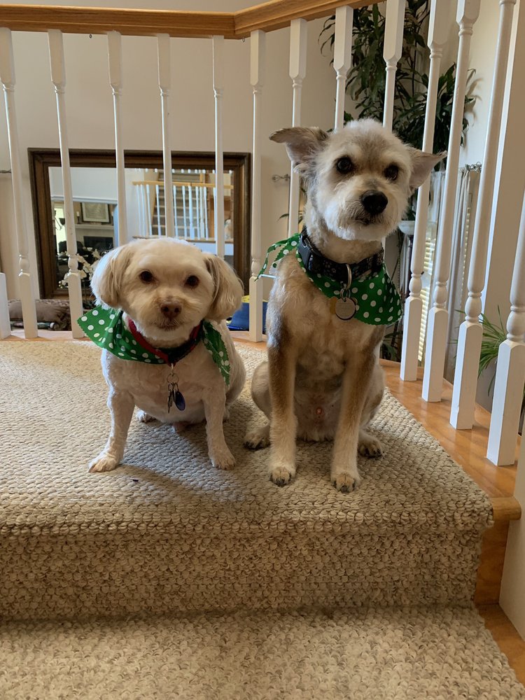 BATHE, BRUSH N’ BEYOND Palmdale, CA Yelp