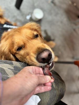 Snooze, an A.M. Eatery by null