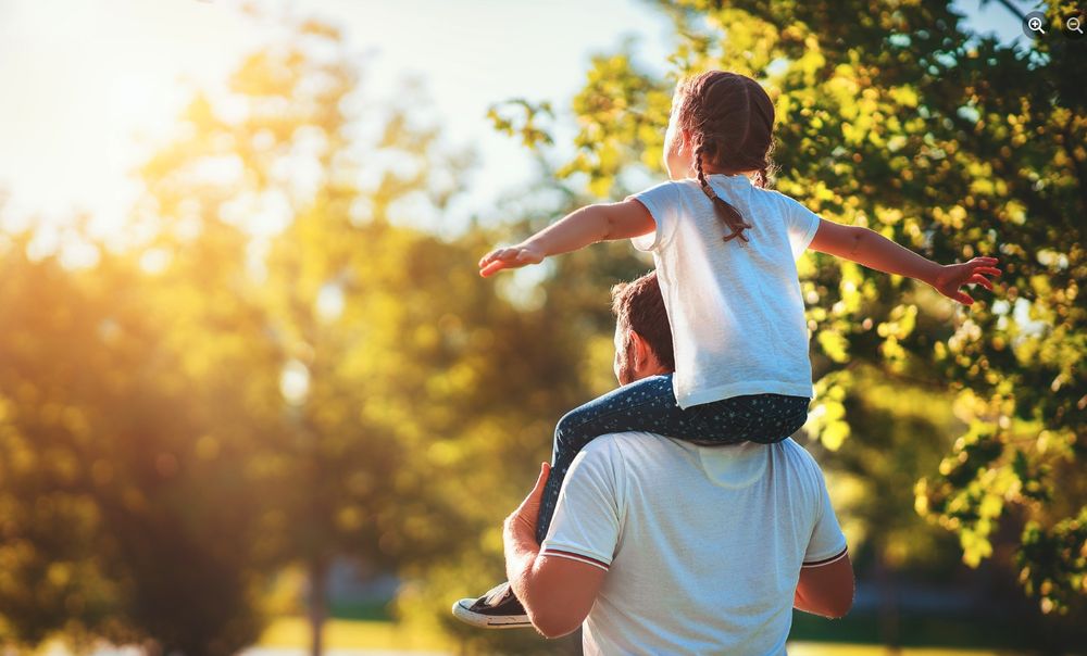 American Tree Service Unlimited - tree service in Springfield, IL