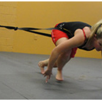 The Training Edge - Martial Arts Near Me - Williamsville, New York The Training Edge - Martial Arts Near Me - Williamsville, New York
