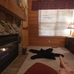 The Cabins At Grand Mountain - They have a fake bear rug in our cabin!! So cute!