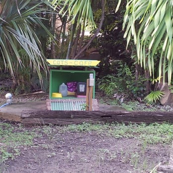 Bolongo Bay Beach Resort - The cat café - Resorts Near Me - Saint Thomas, Virgin Islands