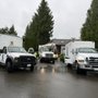 Photo of Western Hemlock Tree & Stump Service