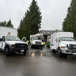 Western Hemlock Tree & Stump Service - Another day in the field