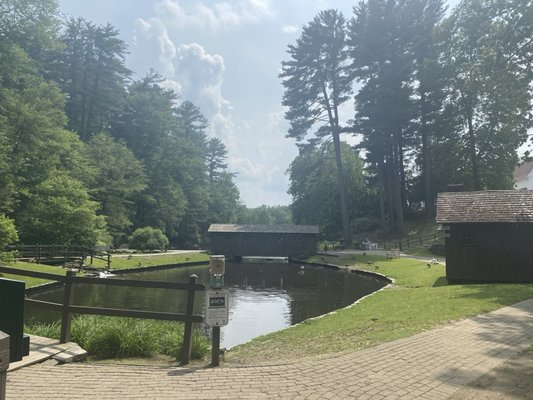 Stanley Park by null