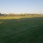 Photo of Persimmon Park