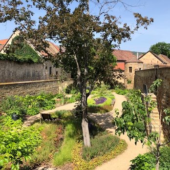 Stadtpark Deidesheim - Parks Near Me - Deidesheim, RP