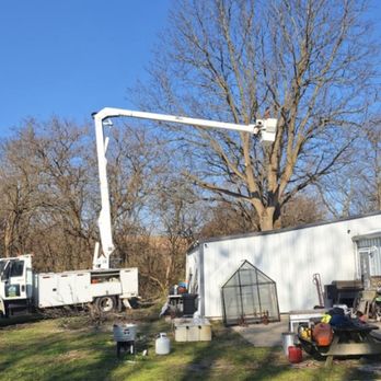 Bandits Tree Service - Tree Services Near Me - Geneseo, Illinois Bandits Tree Service - Tree Services Near Me - Geneseo, Illinois
