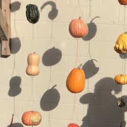 Hafs Road Orchard