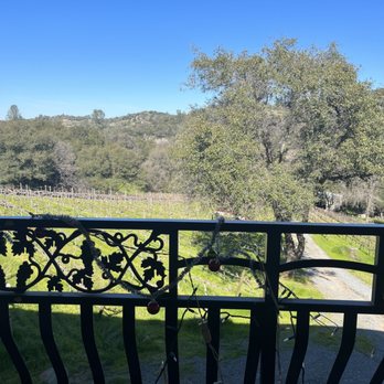 Pescatore Vineyard and Winery - The view from the deck - Wineries Near Me - Newcastle, California