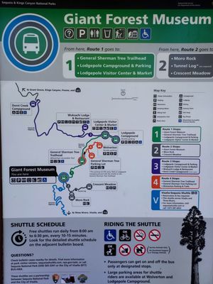 Giant Forest Museum by null