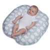 Capital Baby Rentals gift card