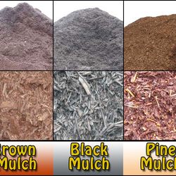 Mendoza Landscaping