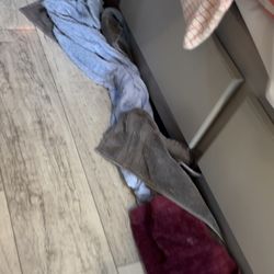 Suncoast RV Rental - WATER BEGINS POURING INSIDE the entire length of the RV EVERY TIME when we move - all towels are used to soak up DAILY. Gross!