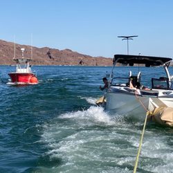 Salvage recovery and dive services available