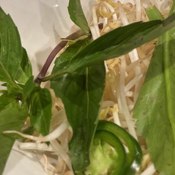 Pho Dakao - Kennesaw - Bean sprouts for Pho - Vietnamese Near Me - Kennesaw, Georgia Pho Dakao - Kennesaw - Bean sprouts for Pho - Vietnamese Near Me - Kennesaw, Georgia