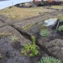 Photo of Sprinklers And Backflows