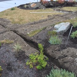 Sprinklers And Backflows