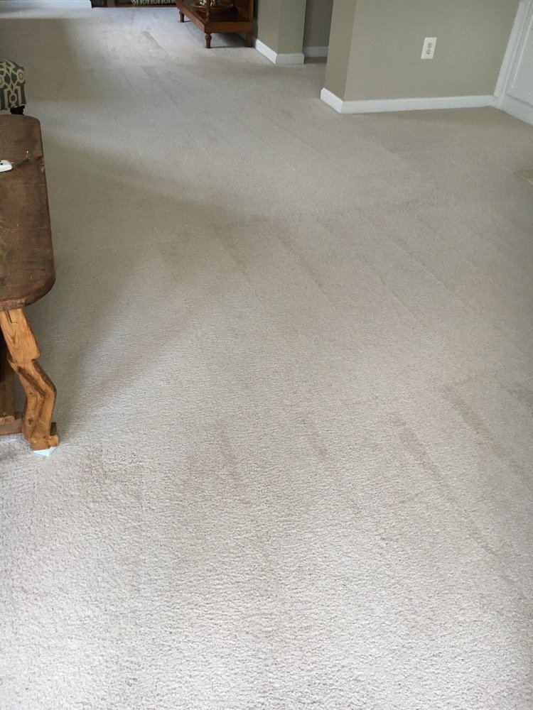 HEAVEN’S BEST CARPET & UPHOLSTERY CLEANING 71 Photos & 12 Reviews
