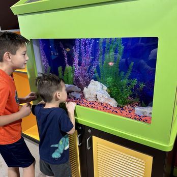 Goldfish Swim School - Royal Palm Beach - Fish tank in lobby - Swimming Lessons/Schools Near Me - Royal Palm Beach, Florida