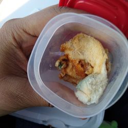 Dee & Gee's Dairy Bar - Moldy chicken sandwich view number 2