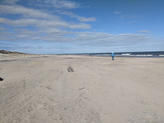 Oregon Inlet Campground by null