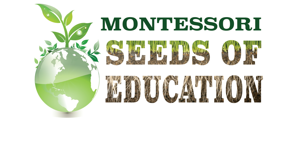 Montessori Seeds of Education - childcare center in Moorestown, NJ