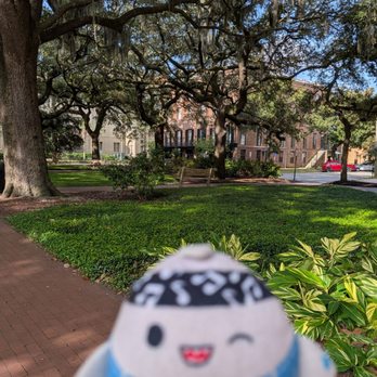 Oglethorpe Square - Lovely day in Savannah. 9/7/2026 - Landmarks & Historical Buildings Near Me - Savannah, Georgia Oglethorpe Square - Lovely day in Savannah. 9/7/2026 - Landmarks & Historical Buildings Near Me - Savannah, Georgia