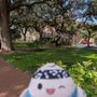 Oglethorpe Square