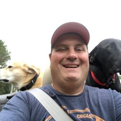 Unique Sports And Imports - nothing like the top down with man's best friends.....