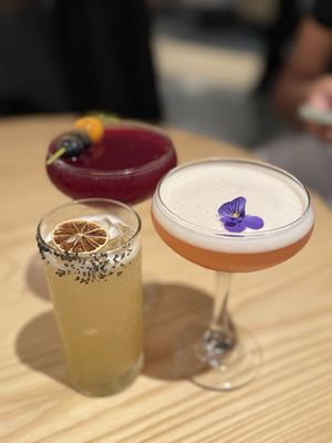 Chase Sapphire Lounge by The Club New York City LGA by null