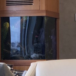 Park Dental Ridges, Burnsville - Fish tank in lobby