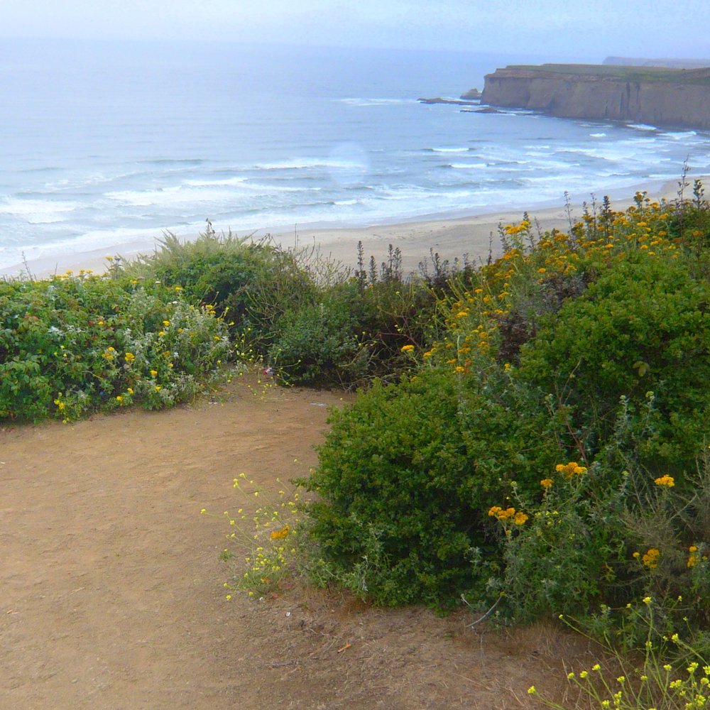 Tunitas Creek Beach - View of the beach and northern cliffs from upper trailhead - Hiking Near Me - Half Moon Bay, California Tunitas Creek Beach - View of the beach and northern cliffs from upper trailhead - Hiking Near Me - Half Moon Bay, California