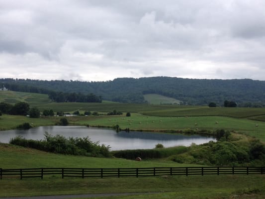 Trump Winery by null