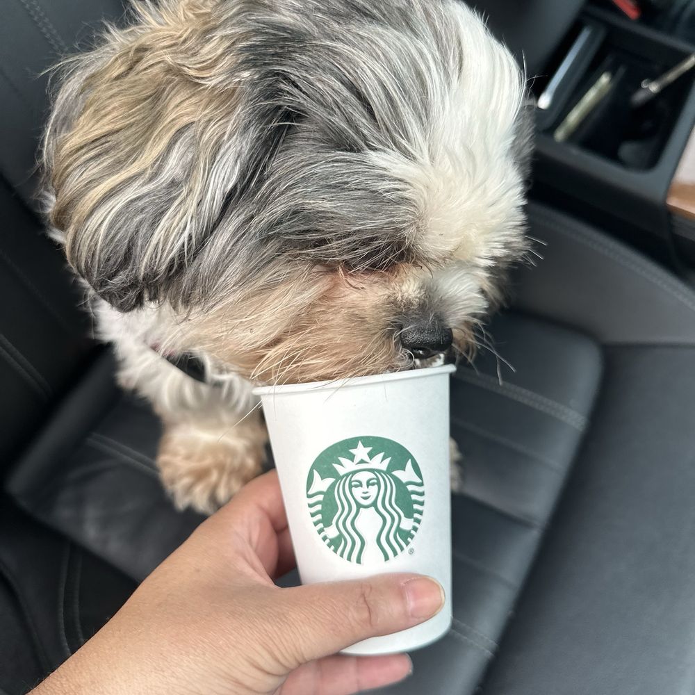Starbucks - Coffee & Tea Near Me - Natick, Massachusetts Starbucks - Coffee & Tea Near Me - Natick, Massachusetts