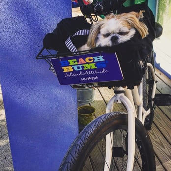 Beach Bums - Mocha Coconut showing his Beach Bum - Island Attitude - relaxing! - Bike Rentals Near Me - Anna Maria, Florida
