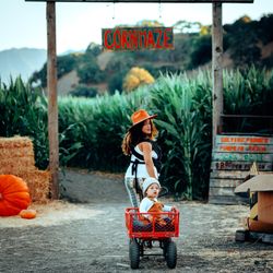 Solvang Farmer Pumpkin Patch