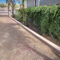 Curbing Curbing
