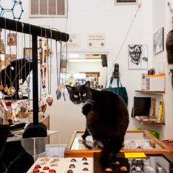 Gemini's Eclectic Emporium