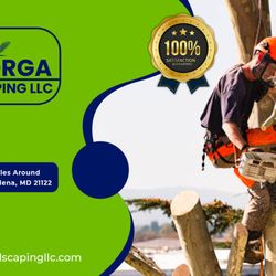 Mayorga Landscaping