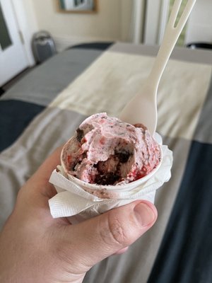 Double Rainbow Ice Cream by null