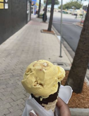 Village Ice Cream & Sandwich