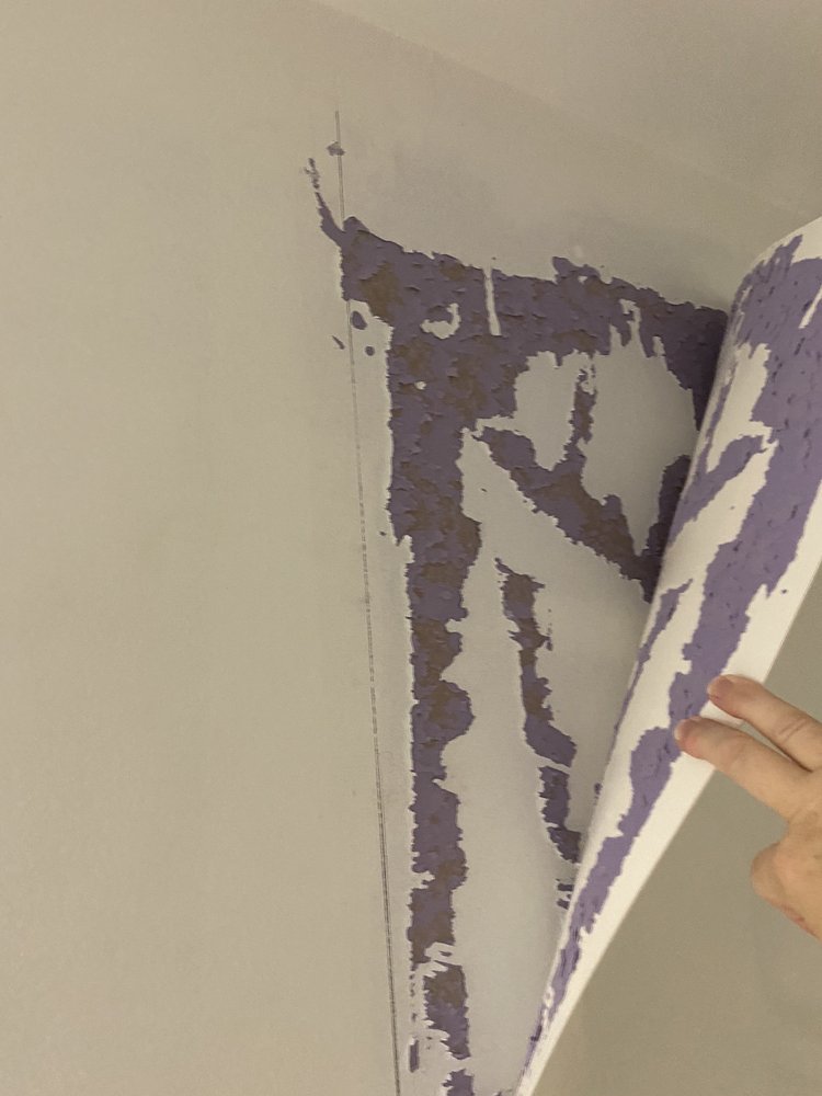 Slide of Chad Can Fix It