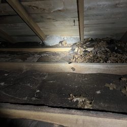 Candlelight Pest Control